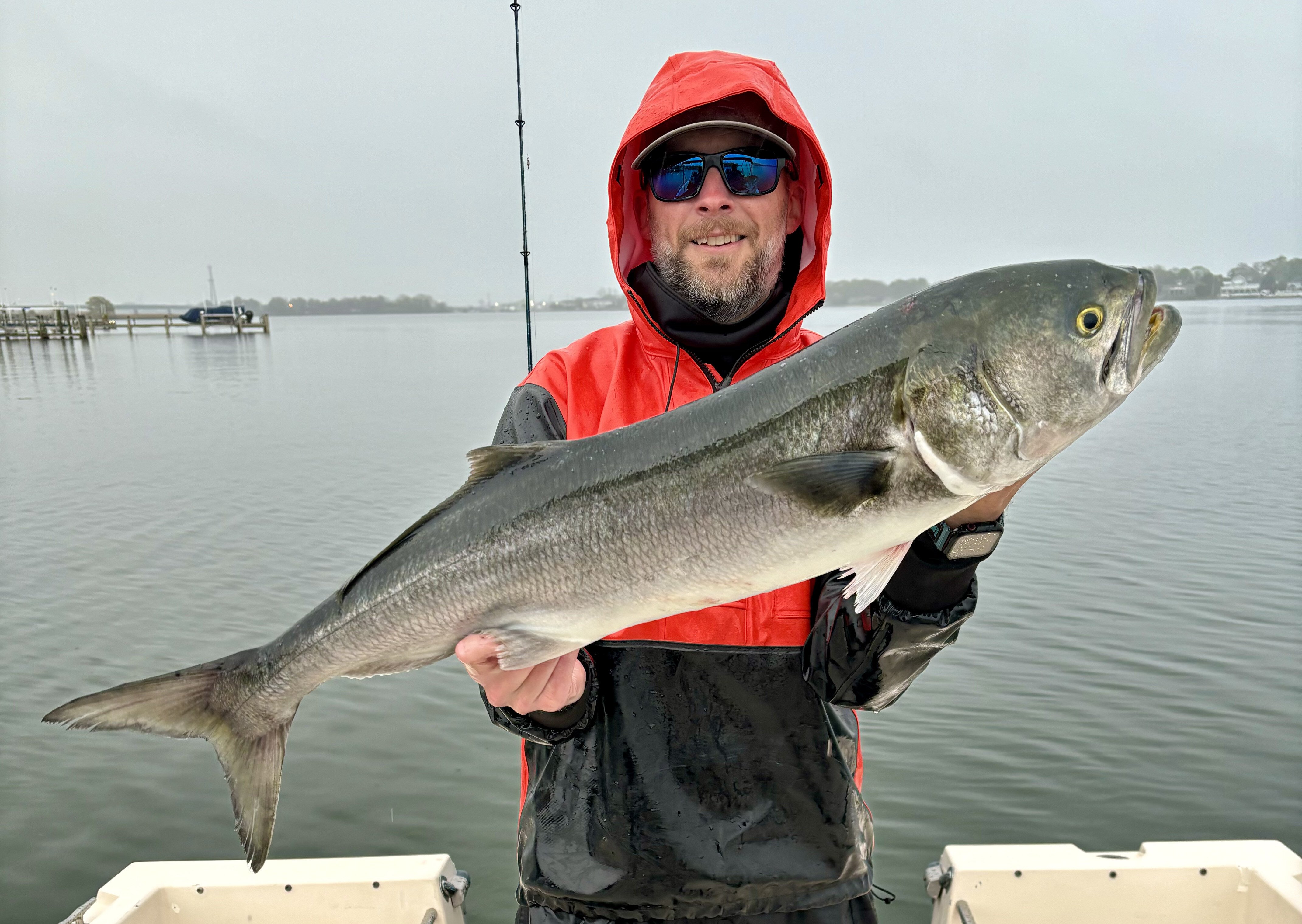 Home [manasquanfishingclub.com]