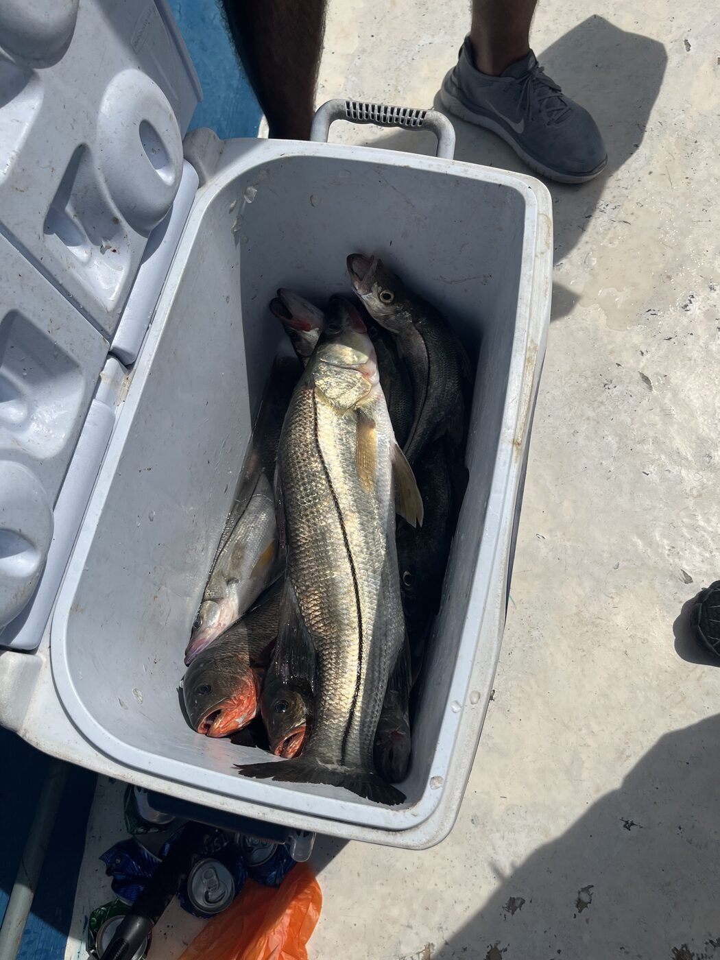Manasquan Fishing Club 2026 — photo 23