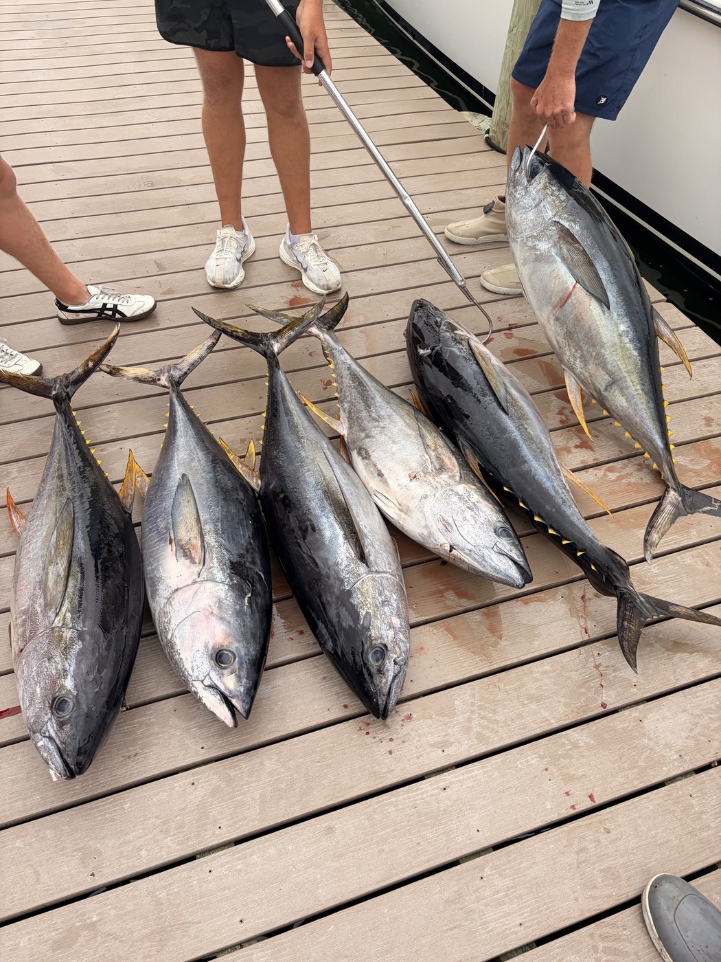 Hudson Canyon tuna — Chris Jewell