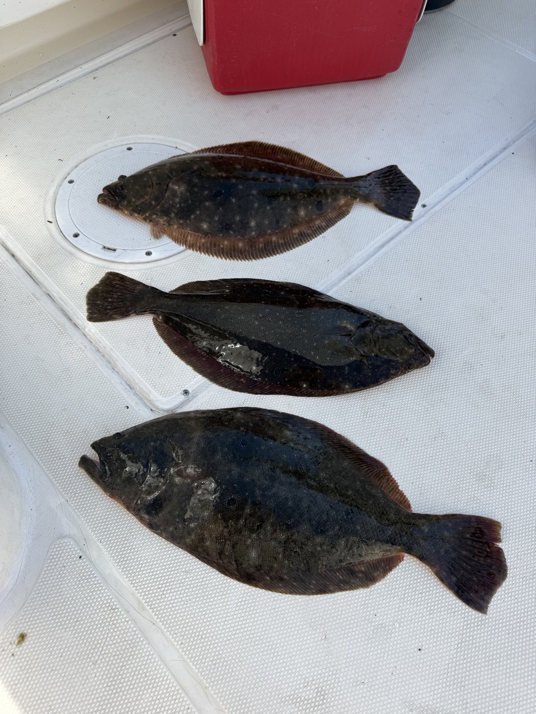 River fluke limit — Fred Truex