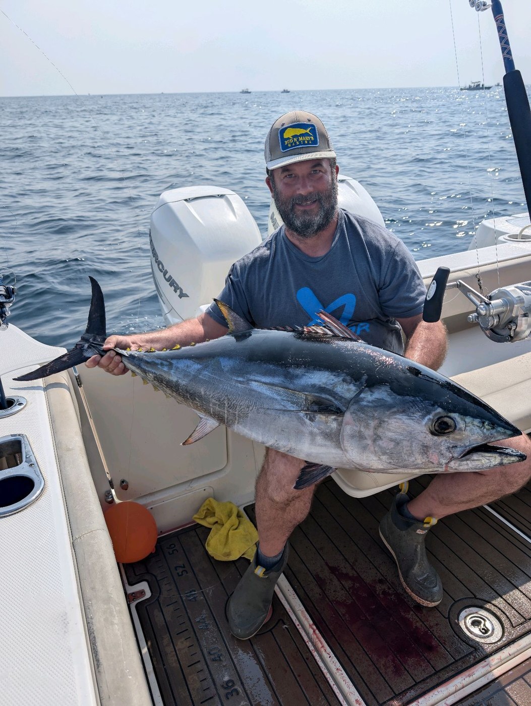 Bluefin tuna — offshore