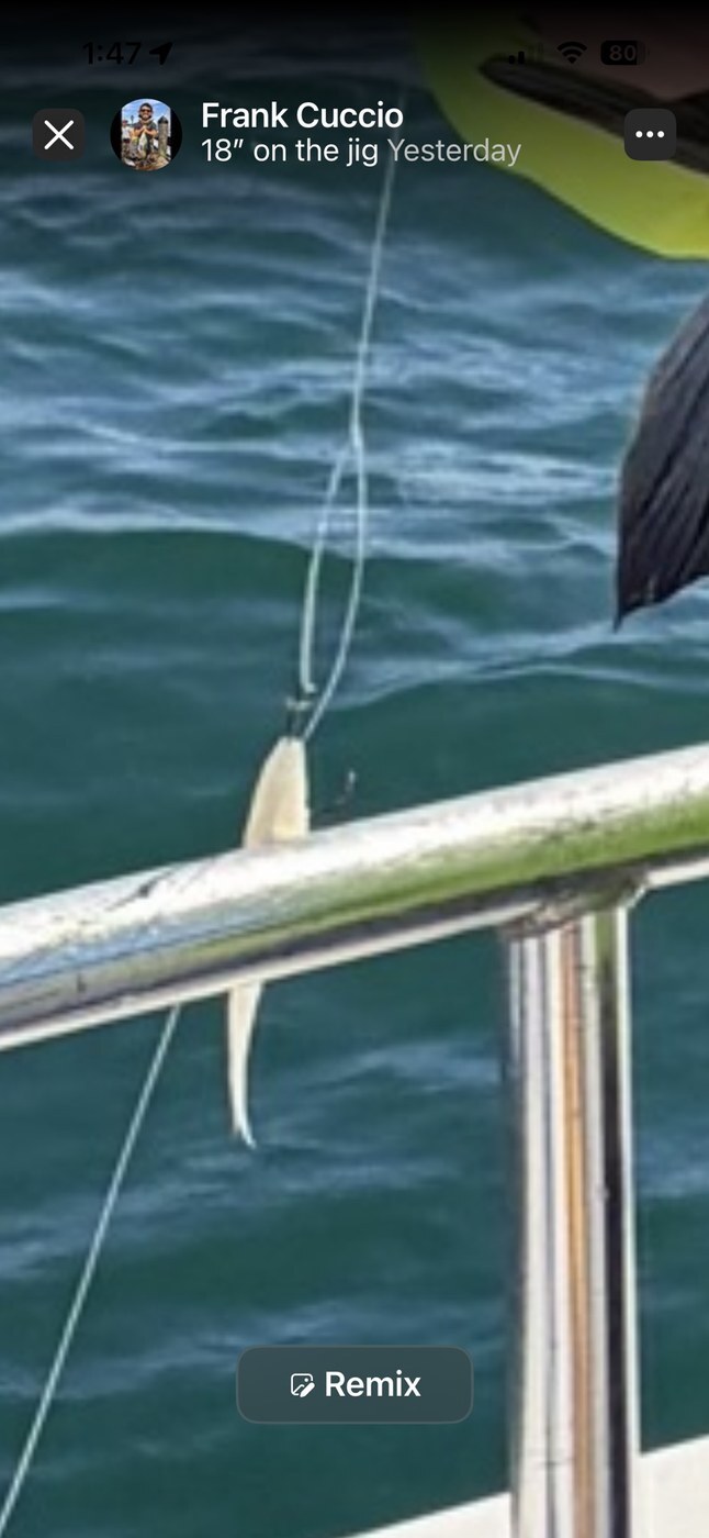 Fish on the jig — the inlet
