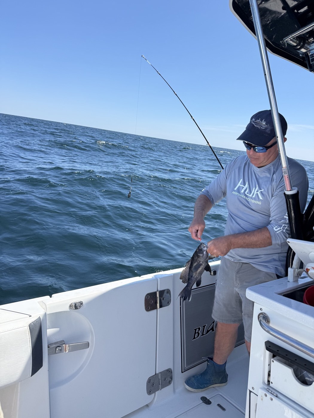 Black sea bass bycatch