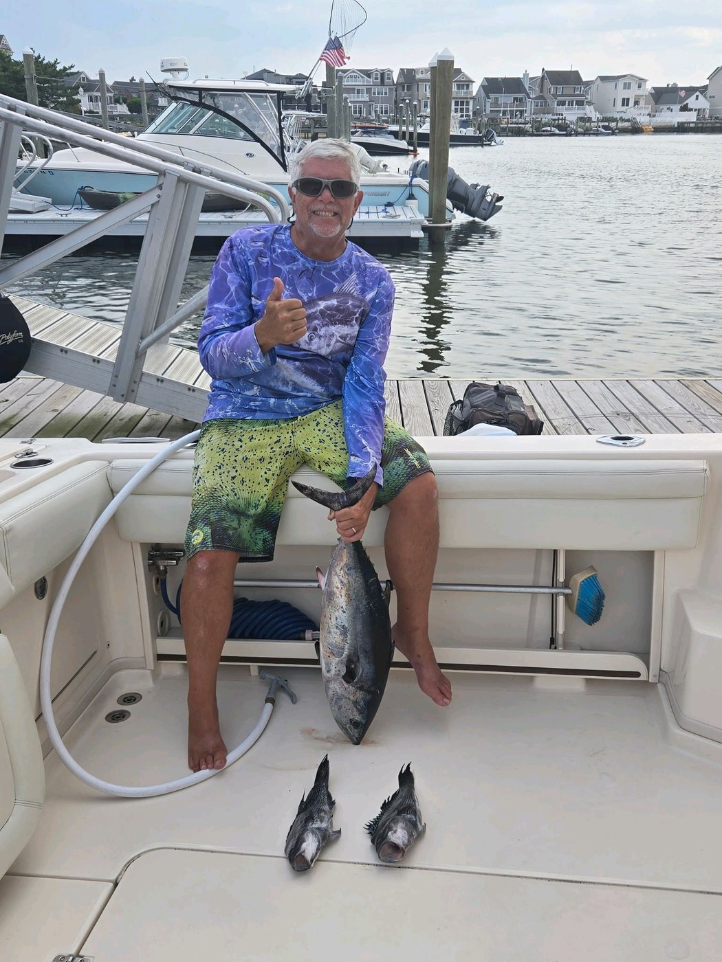 Bluefin and sea bass at the dock