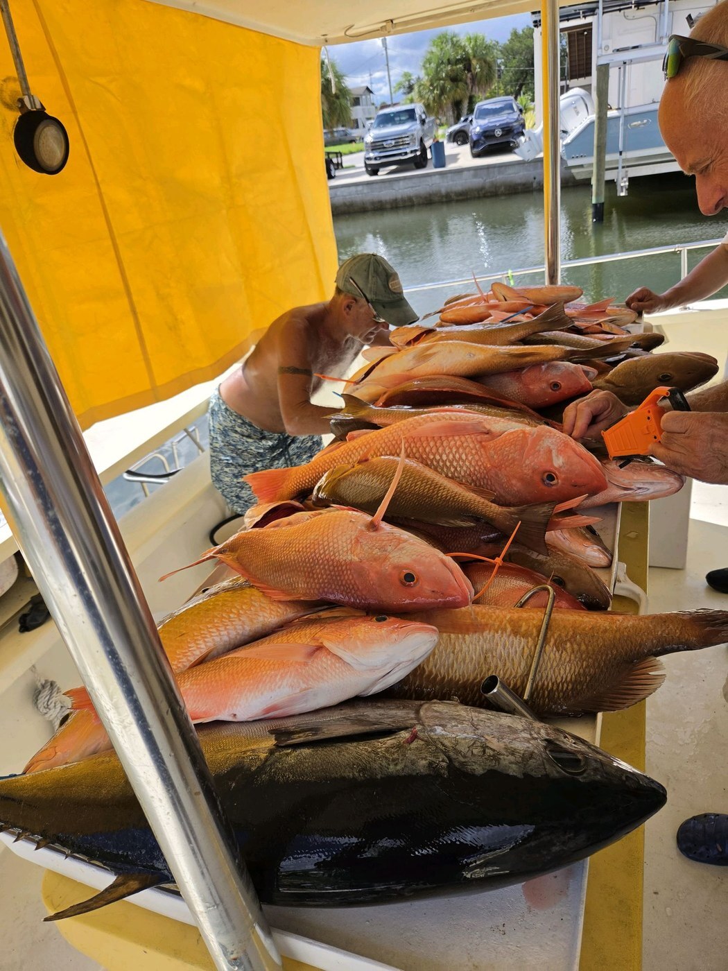 Joe Mariano's Gulf Coast haul
