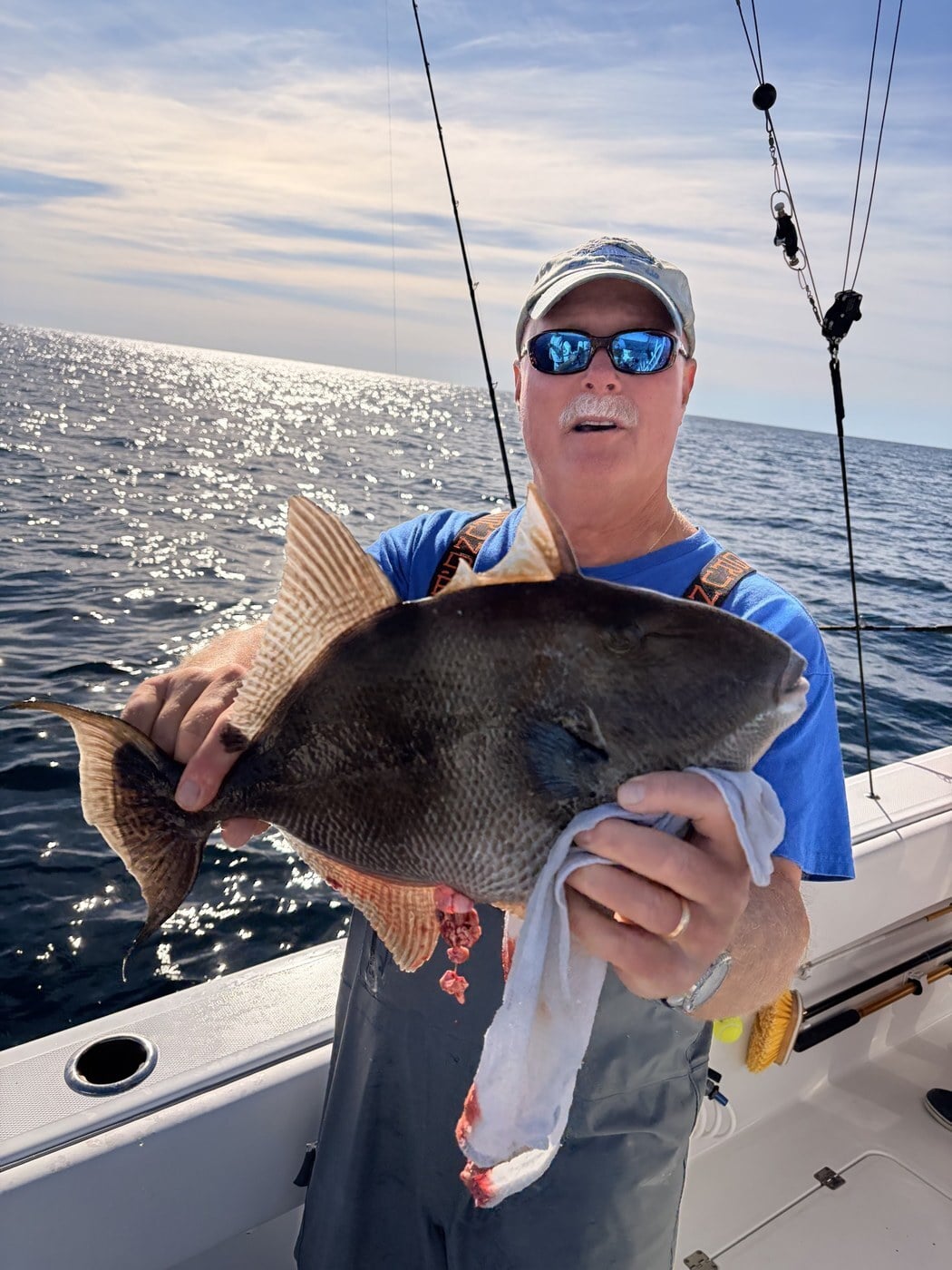 Gray triggerfish over the rail