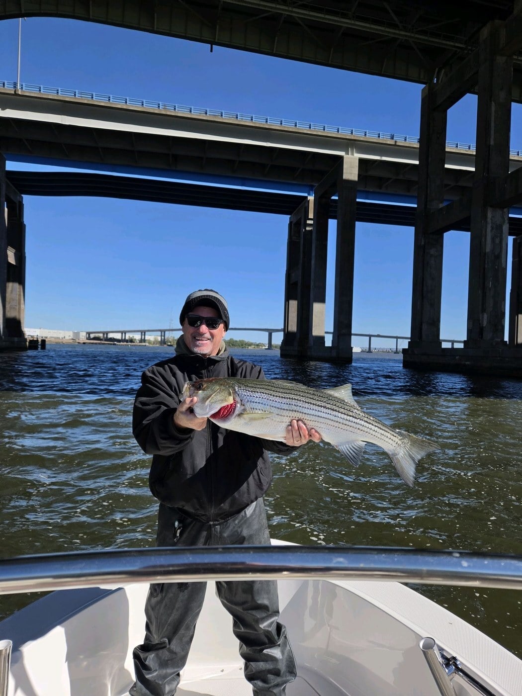 Striper — one of 20