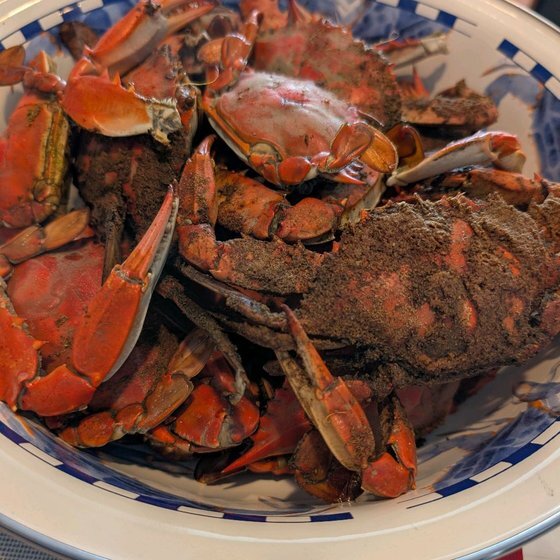 Crabbing season kickoff