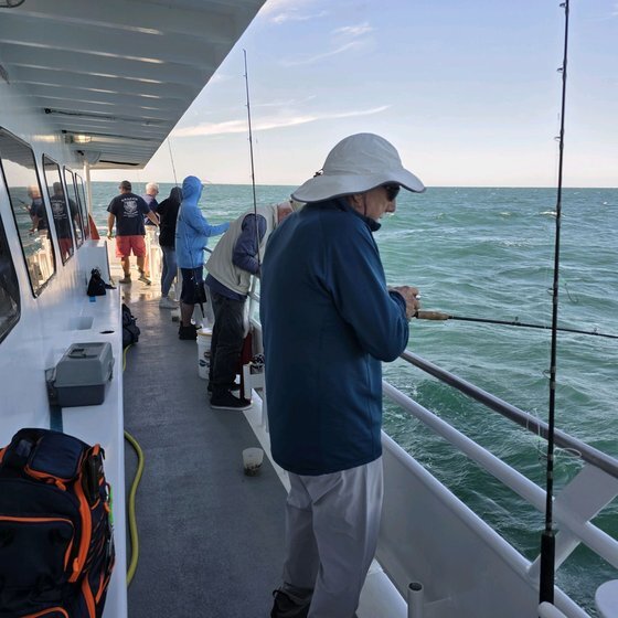 Working the rail