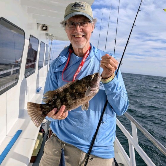 Tautog (blackfish)