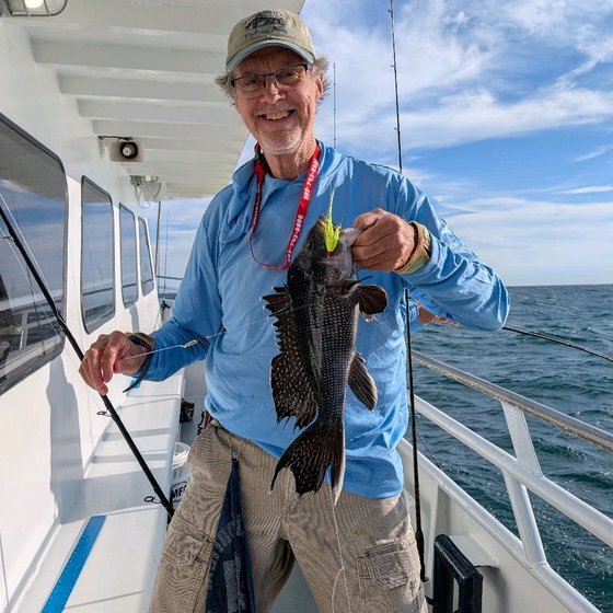 Black sea bass