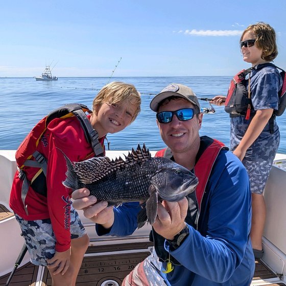 Black sea bass — Father's Day