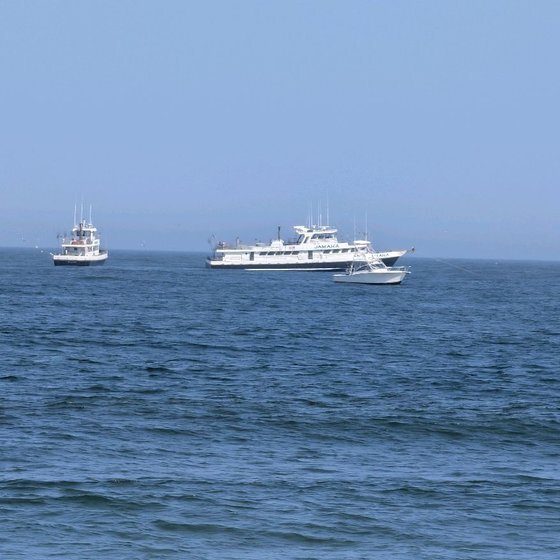 Stranded fleet awaiting the railroad bridge