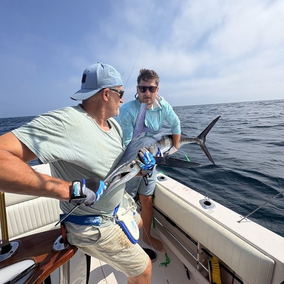White marlin release offshore