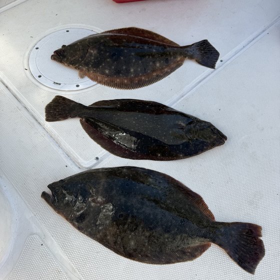 River fluke limit — Fred Truex