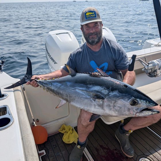 Bluefin tuna — offshore