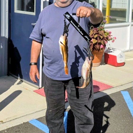 Sea Robin Calcutta — Joe Choma