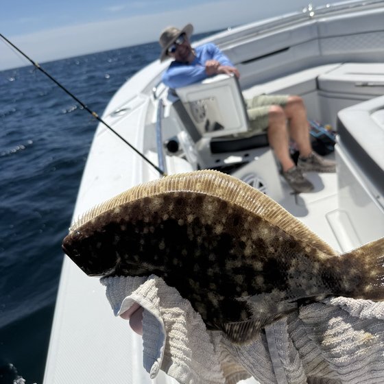 Keeper fluke boatside