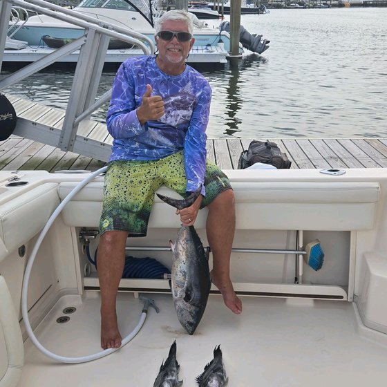 Bluefin and sea bass at the dock