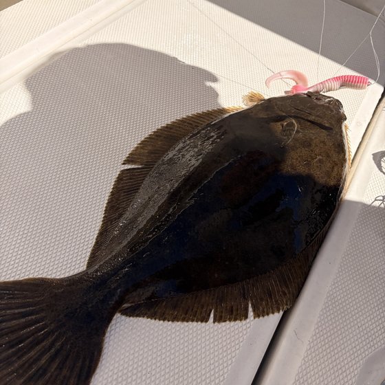 Keeper fluke on the deck