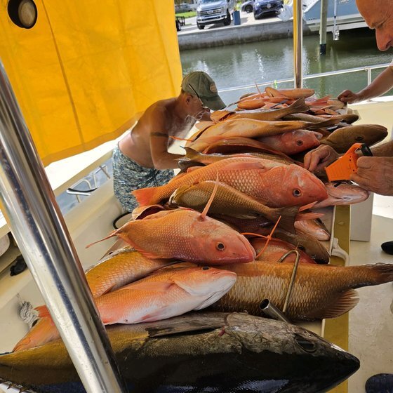 Joe Mariano's Gulf Coast haul