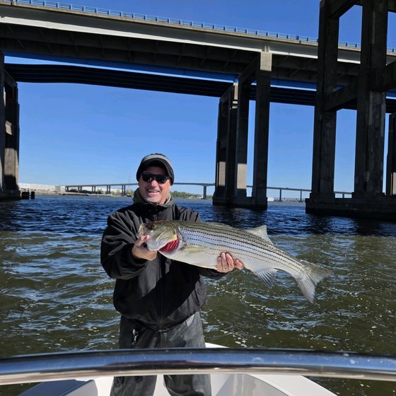 Striper — one of 20