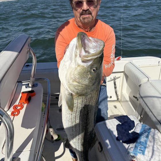 Luis Cadalzo's fall striper